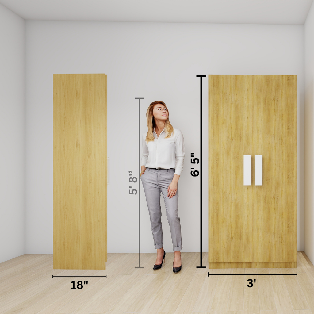 2 Door wardrobe with built-in organizer.